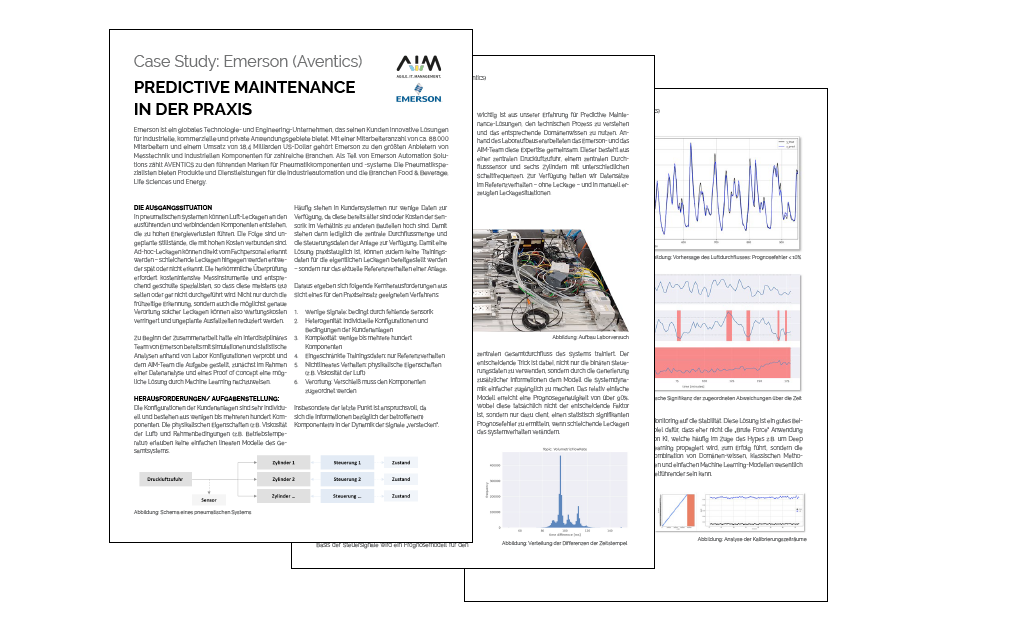 Emerson Use Case Leckageverortung Emerson Use Case Leckageverortung