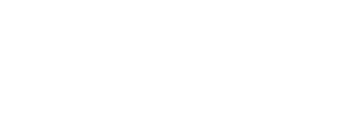 Gold Solution Partner white